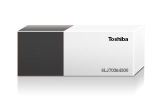 Toshiba 6LJ70384300 / D-FC30K Developer Black