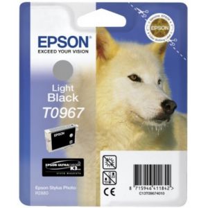 Epson T09674010 INK R2880 Light Black Original